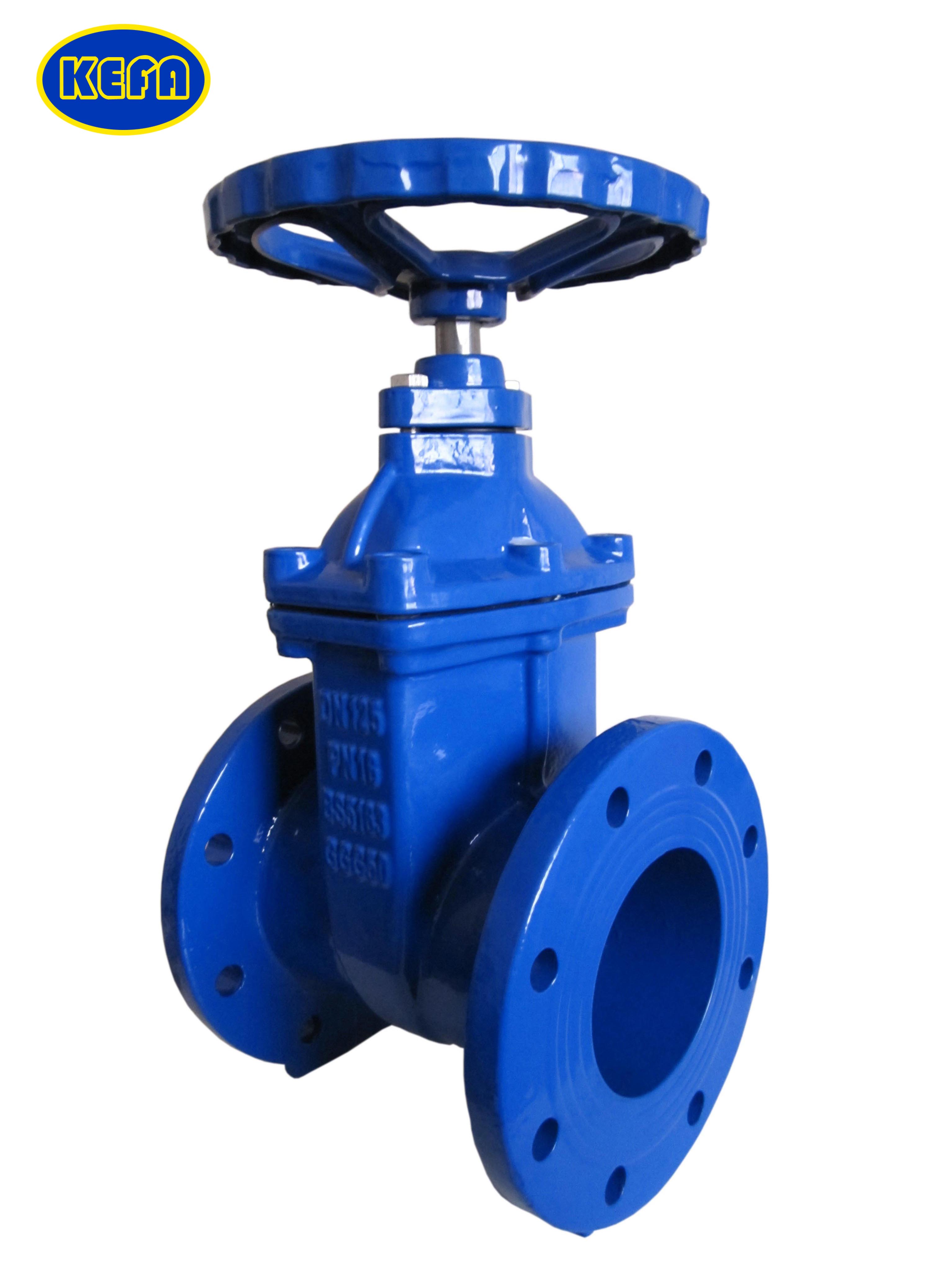 BS5163 Resilient seated gate valve