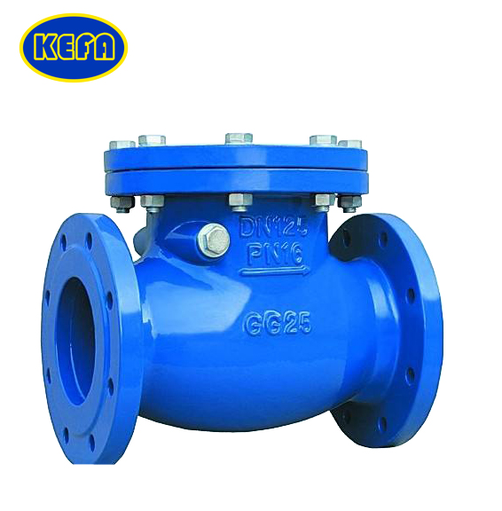 Double Flange Swing Check Valve KF-5900